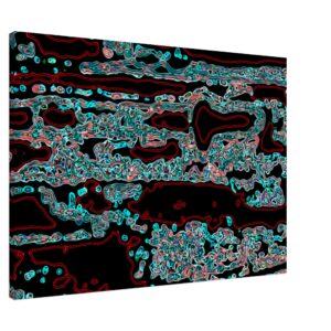 23f0064d-ef11-4386-9e6f-ac630ef2ceb9