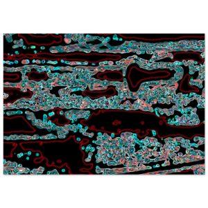 25a46077-b2db-40d4-8182-395f4a157489